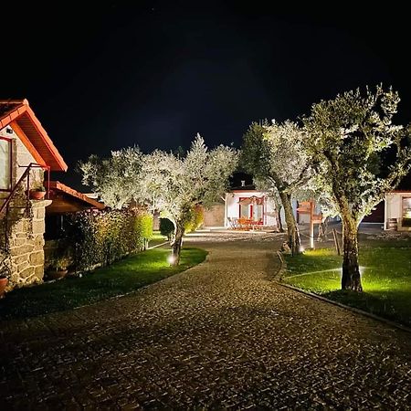 Penedo Village Marco de Canaveses Exterior photo